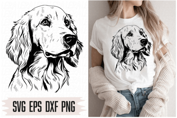 Scottish Setter Dog Cute