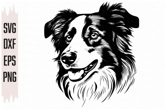 Scottish Shepherd Dog